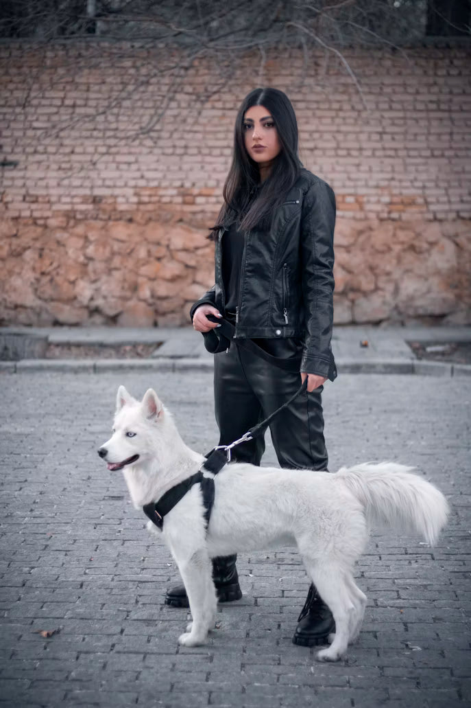 Leather Pet Harness
